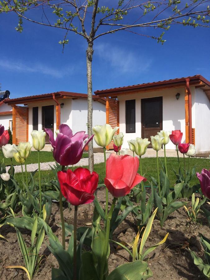 Casa Ivana Murighiol Ngoại thất bức ảnh