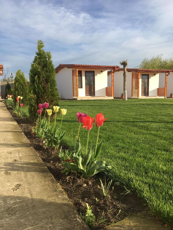 Casa Ivana Murighiol Ngoại thất bức ảnh