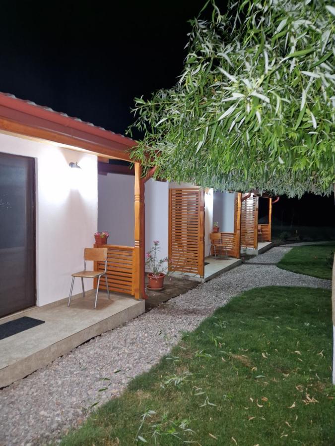 Casa Ivana Murighiol Ngoại thất bức ảnh