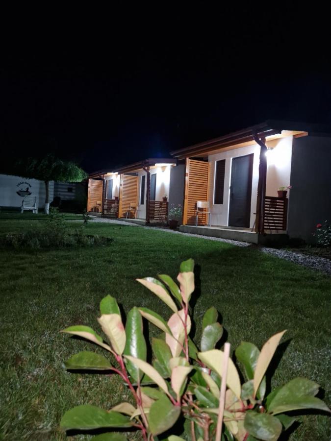 Casa Ivana Murighiol Ngoại thất bức ảnh
